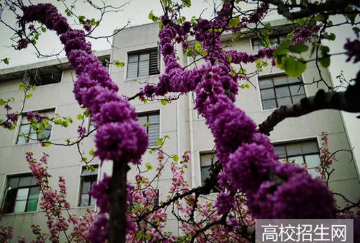 安徽工商职业学院