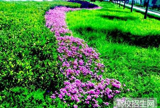 安徽工商职业学院