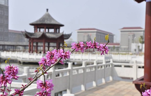 安徽黄梅戏艺术职业学院