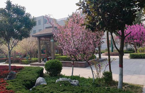 蒙城县庄周高级职业中学