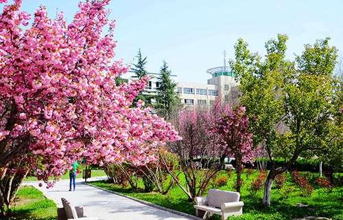 蒙城县庄周高级职业中学