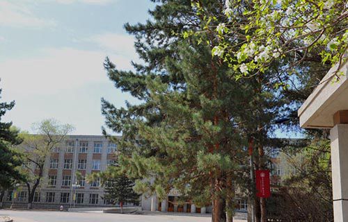 齐齐哈尔理工职业学院