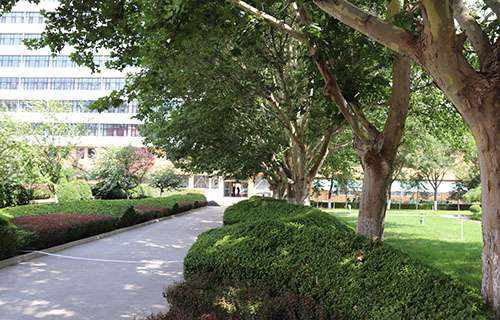 合肥商贸科技学校