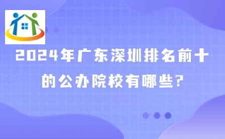 2024年广东深圳排名前十的公办院校有哪些?