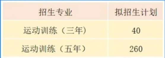 安徽体育运动职业技术学院