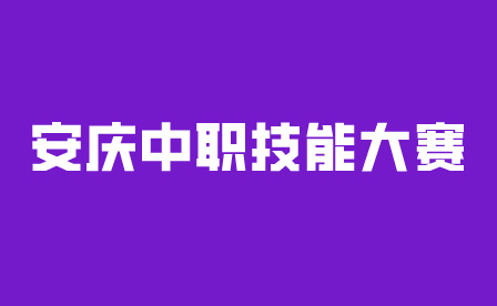 安庆中职技能大赛