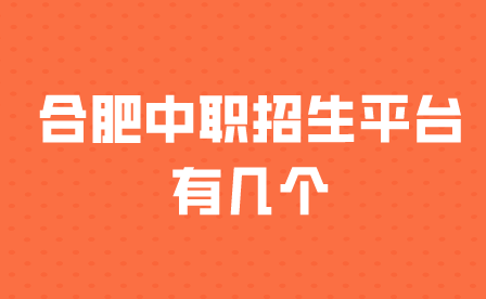 合肥中职招生平台有几个