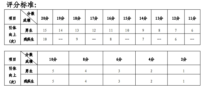 引体向上(男)评分标准