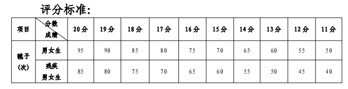 踢毽子评分标准