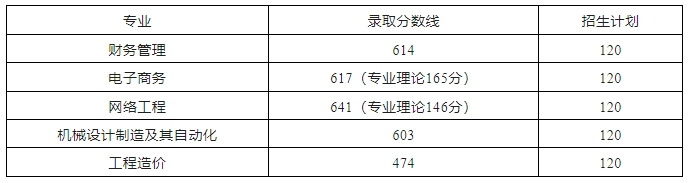 合肥经济学院(民办)2024年对口招生录取分数线