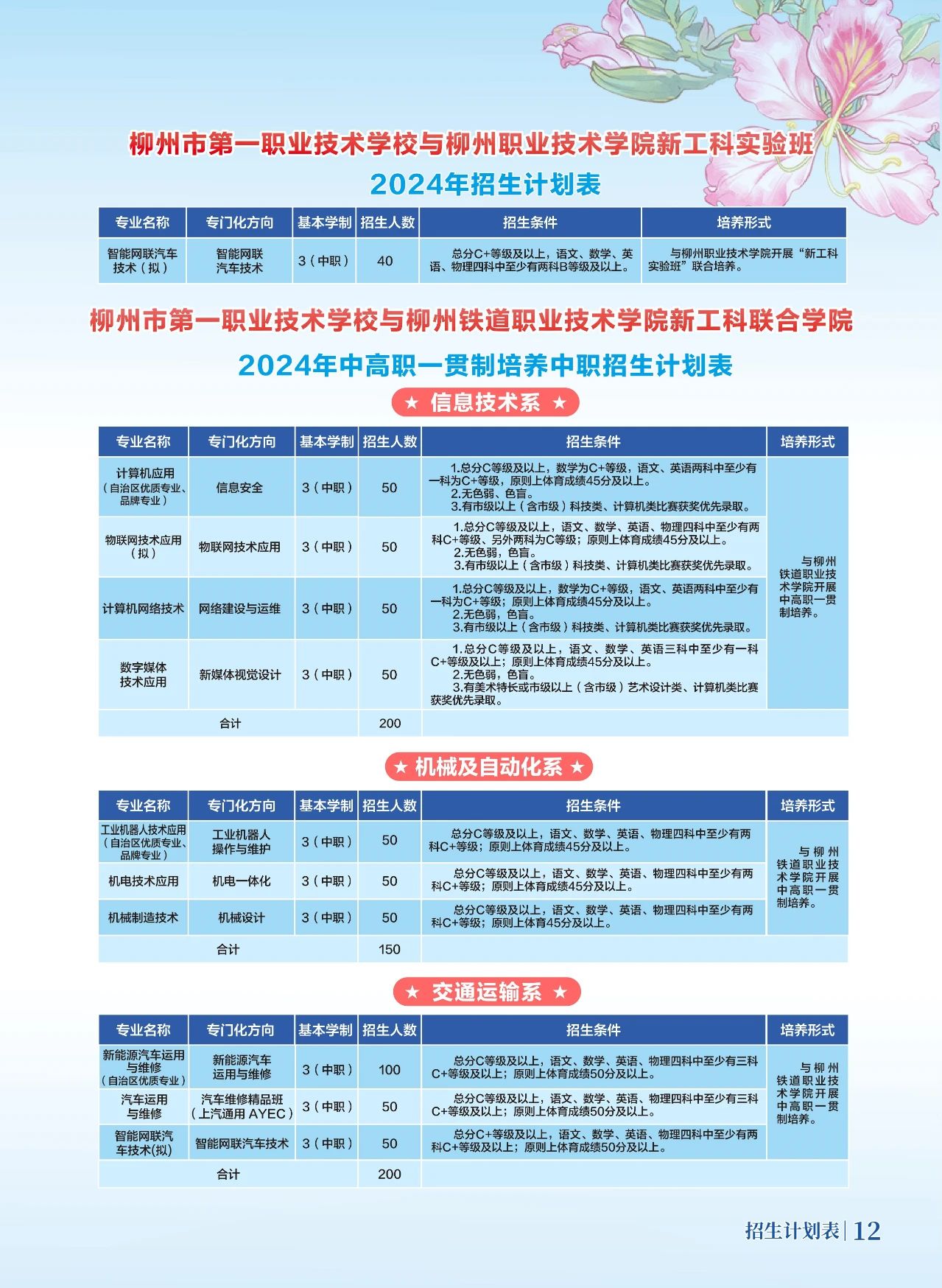 信息技术招生计划