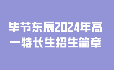 毕节东辰高一特长生