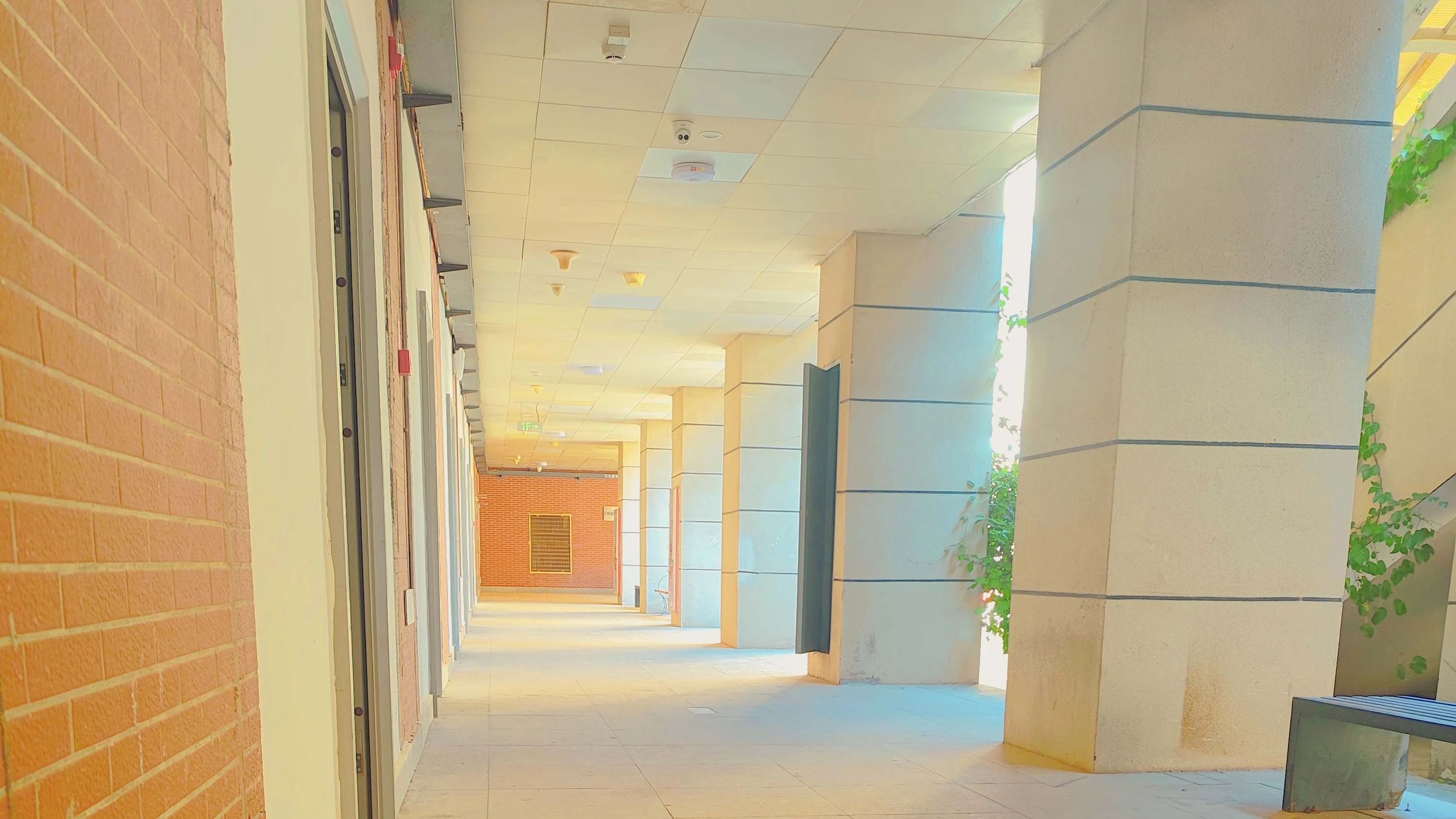 福建宝藏技校推荐:厦门翔云技术学校