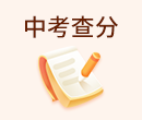 中考成绩