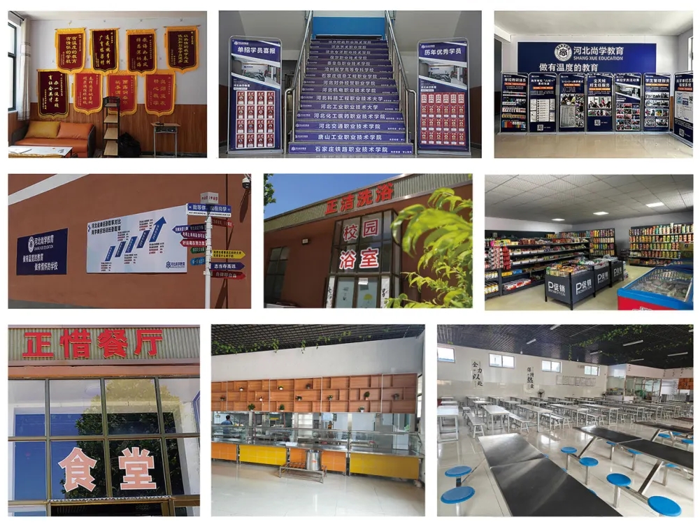 2025年河北单招线下集训营