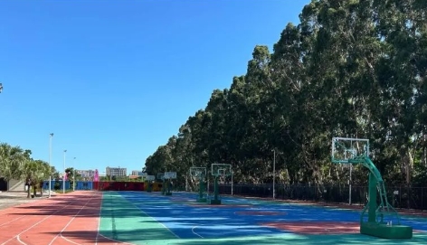 微信截图_20241022172221