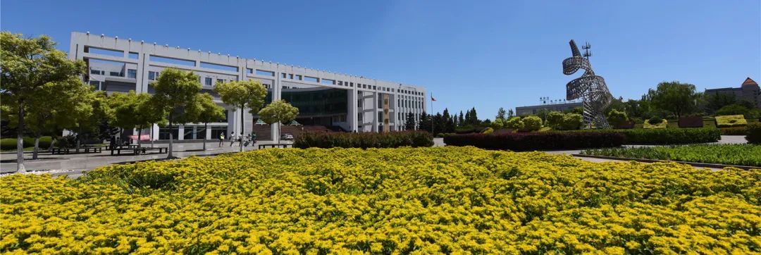 河北高职单招院校前五名!强项专业分别有哪些?