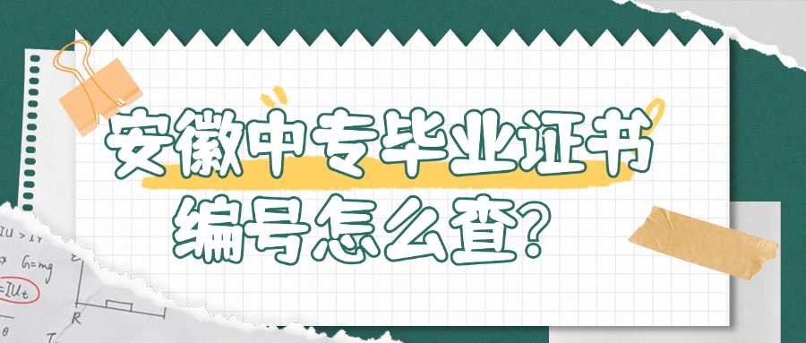 安徽中专毕业证书编号怎么查?