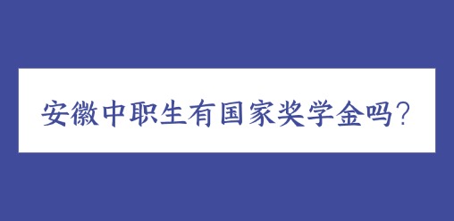 安徽中职生有国家奖学金吗