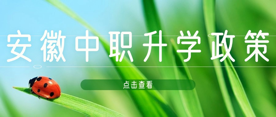 安徽中职升学政策