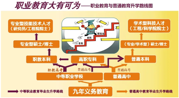 广潮卫中职升学路径