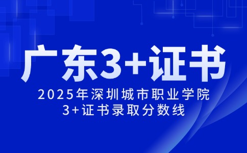 2025年深圳城市职业学院3+证书录取分数线