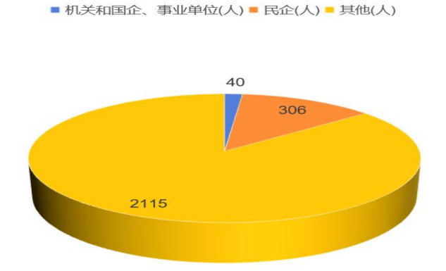 2025 年直接就业学生就业去向分布统计图