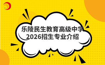 乐陵民生教育高级中学2026招生专业介绍